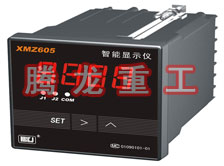 溫度表、數(shù)字顯示儀、濕度表