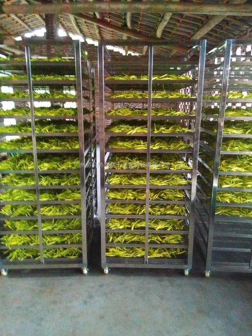 黃花菜烘干機(jī)、黃花菜烘干設(shè)備、黃花菜干燥機(jī)、黃花菜干燥設(shè)備、